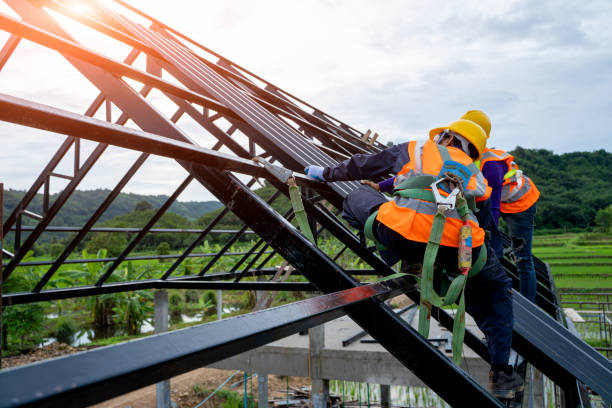 Best Metal Roofing Contractor  in Nellysford, VA