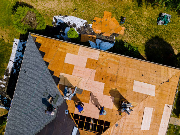 Best Commercial Roofing Services  in Nellysford, VA