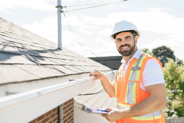 Best Roof Gutter Cleaning  in Nellysford, VA