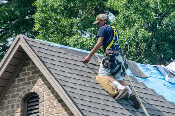 Best Roofing Contractor Near Me  in Nellysford, VA